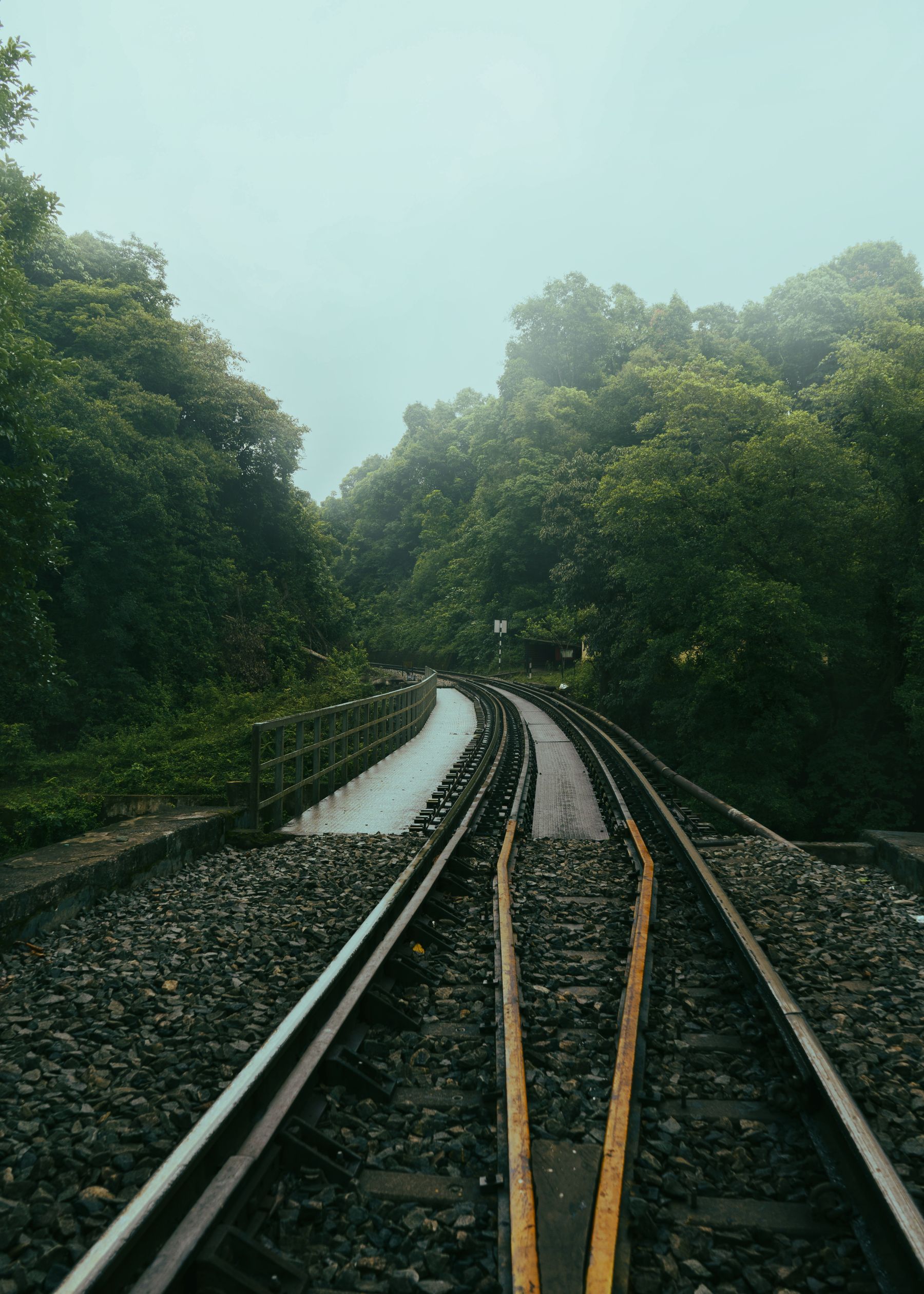 Railway tracks winding through a lush tropical forest